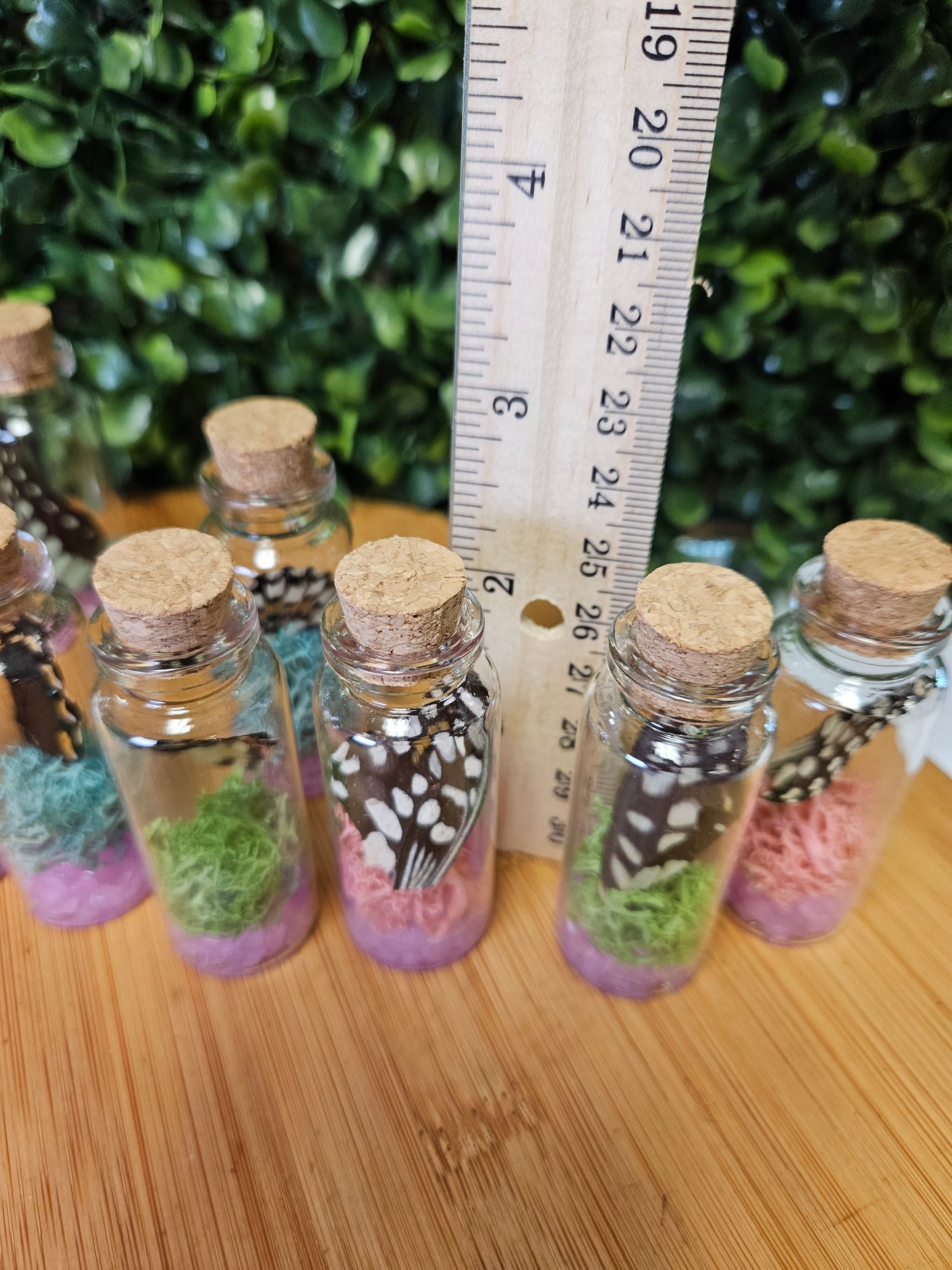 Butterfly wing jar - pink glow in the dark