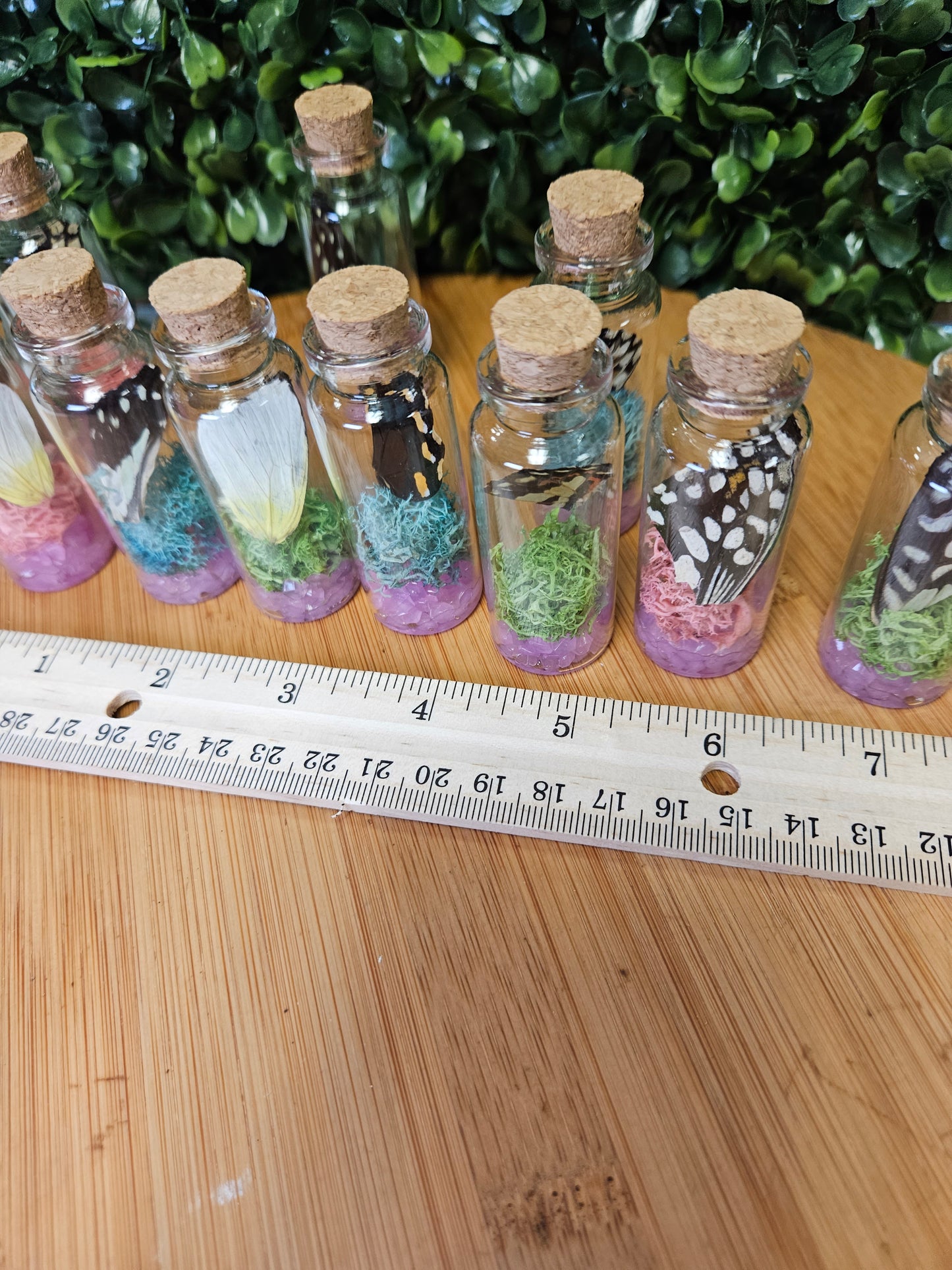 Butterfly wing jar - pink glow in the dark
