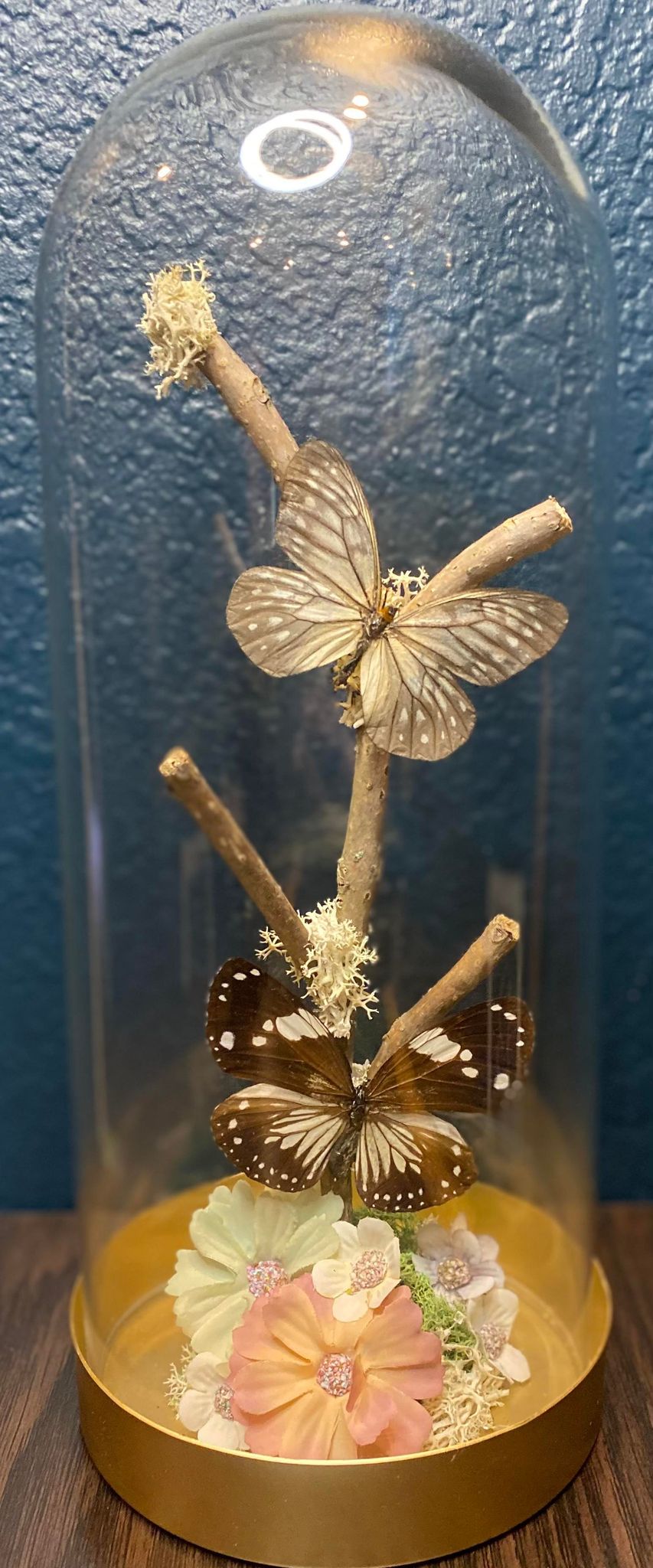 GLASS CLOCHE BUTTERFLIES & FLORAL