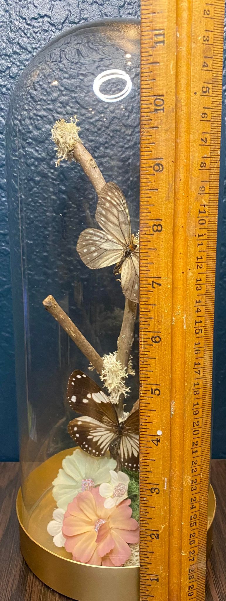GLASS CLOCHE BUTTERFLIES & FLORAL