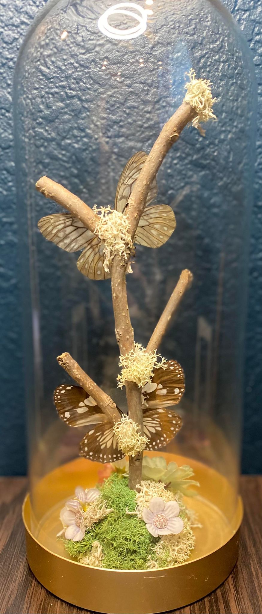 GLASS CLOCHE BUTTERFLIES & FLORAL