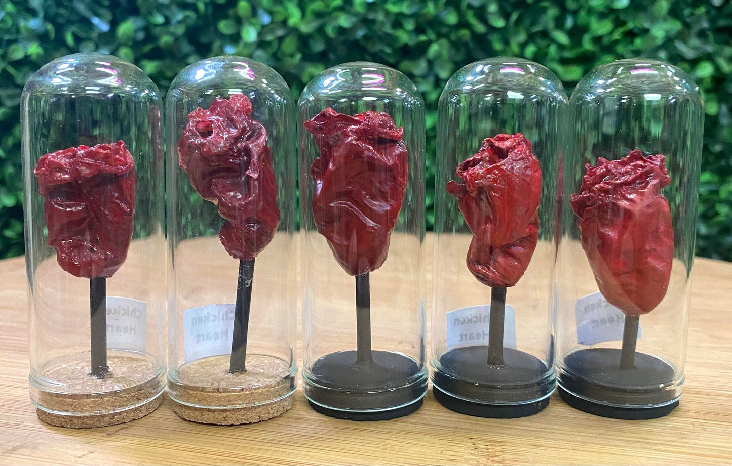 CHICKEN HEARTS