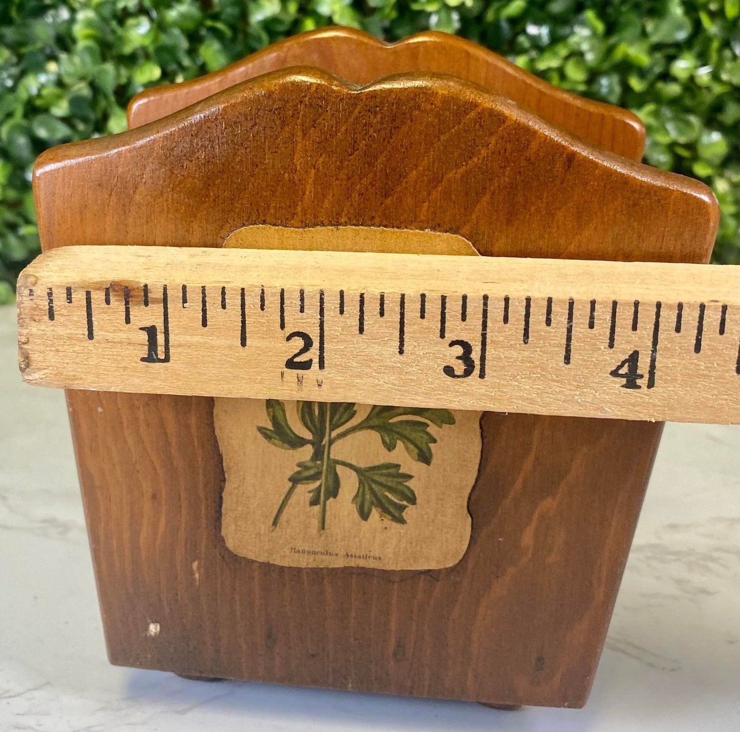 Vintage wood botanical letter holder or napkin holder