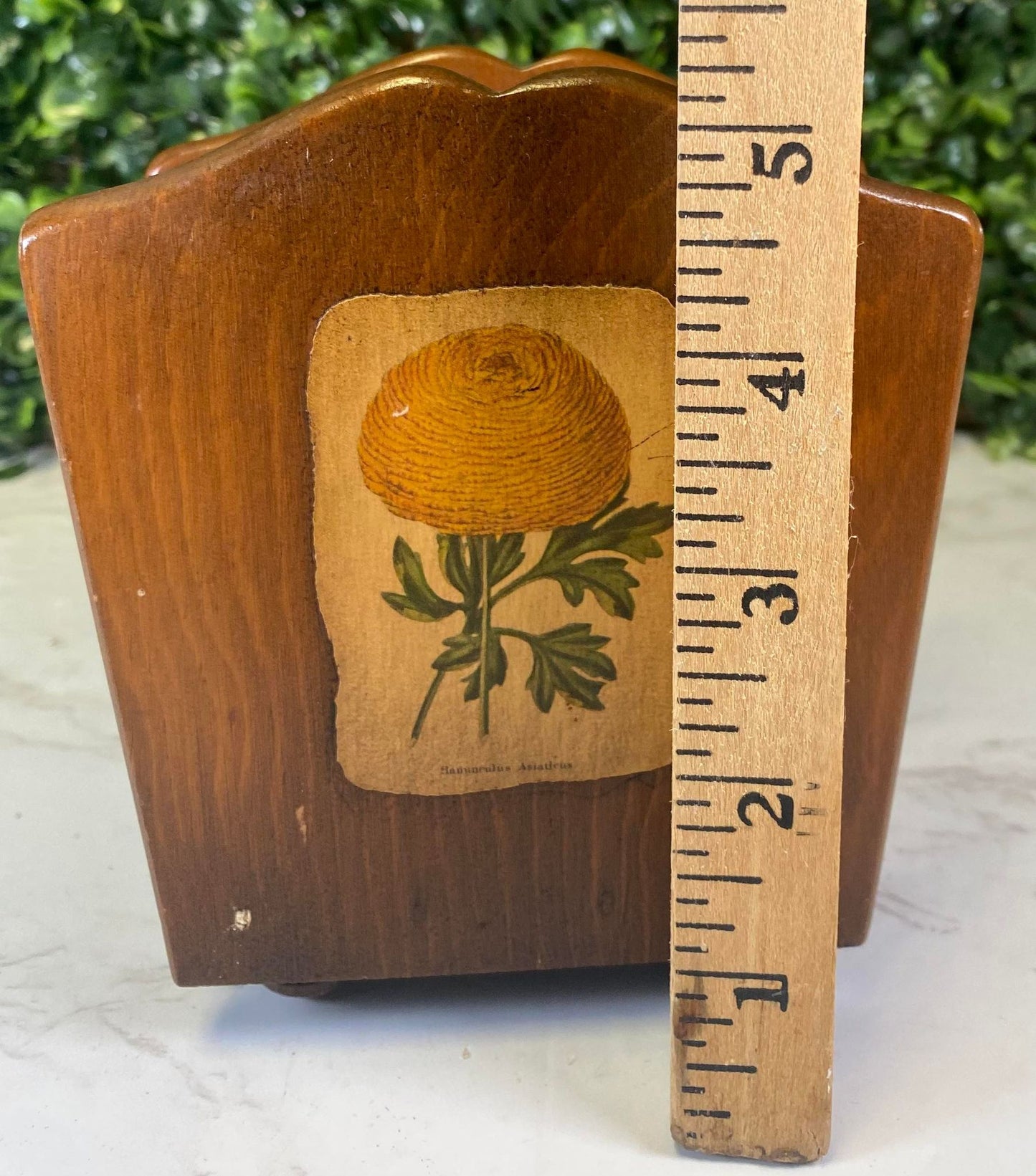 Vintage wood botanical letter holder or napkin holder