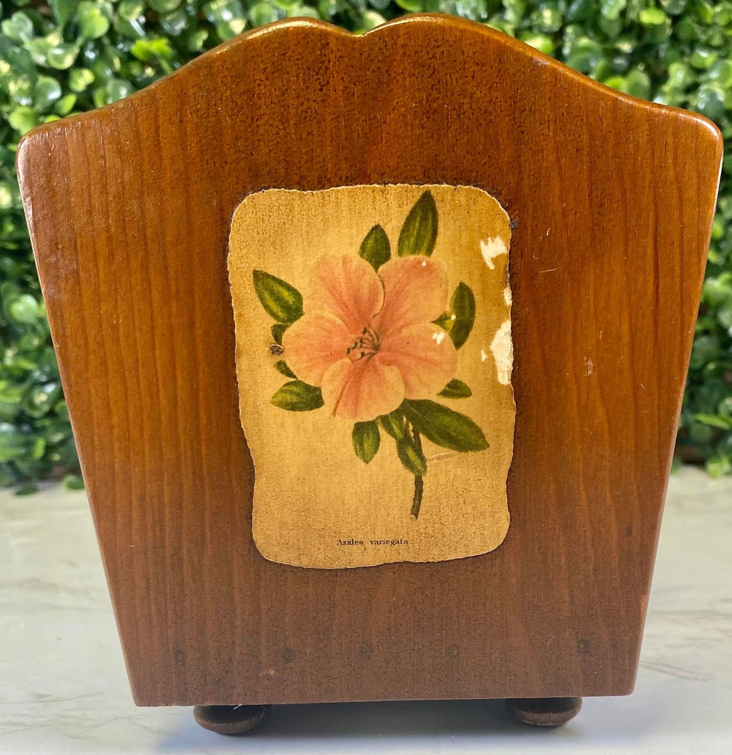 Vintage wood botanical letter holder or napkin holder