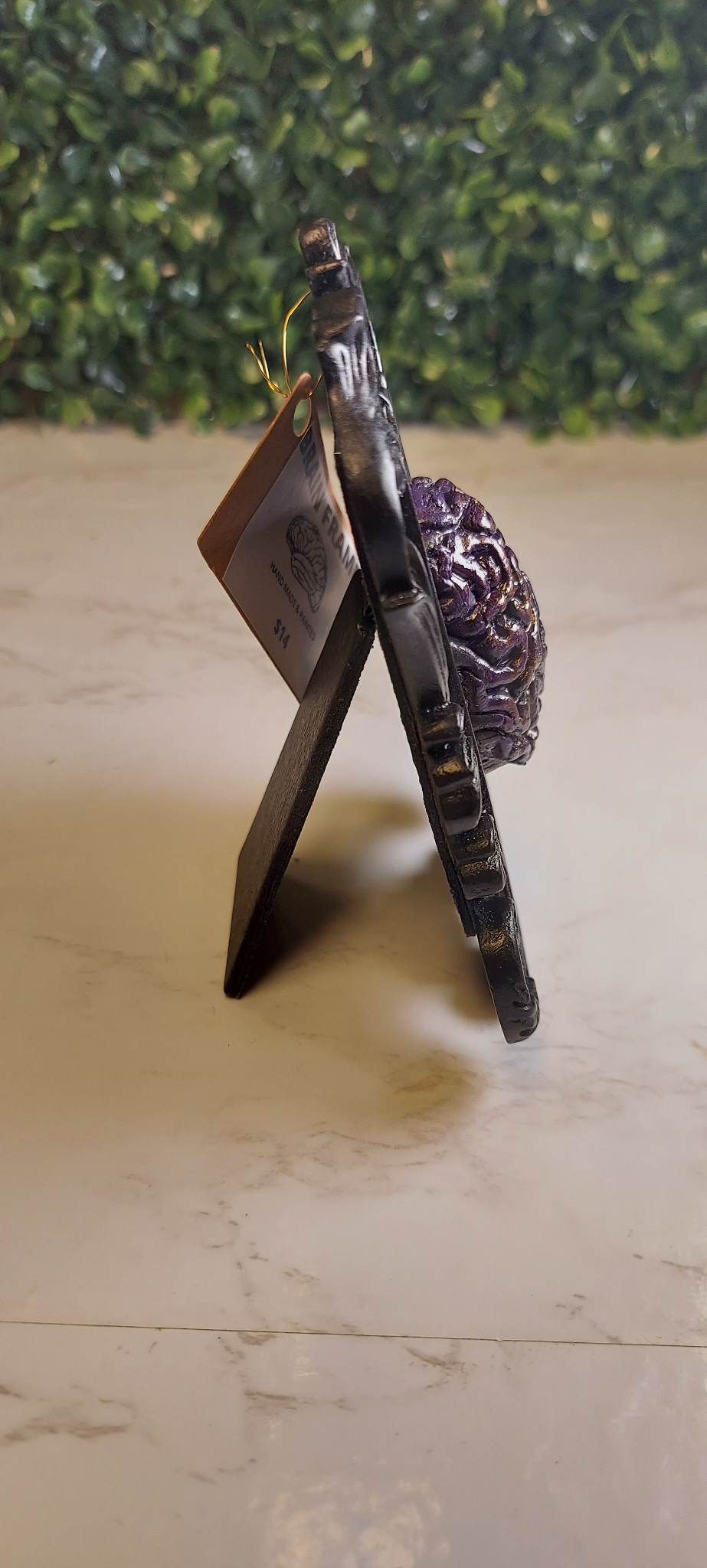 Purple & Black Brain Frame