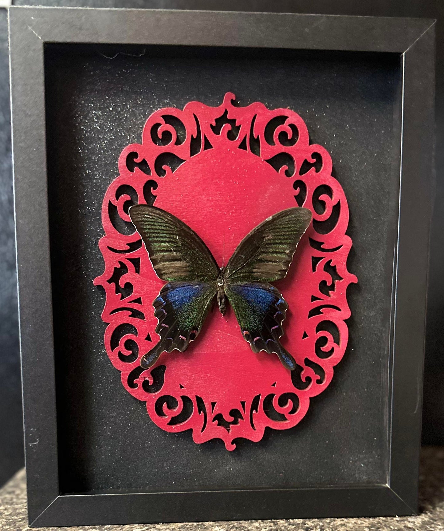 Black & Red framed butterfly