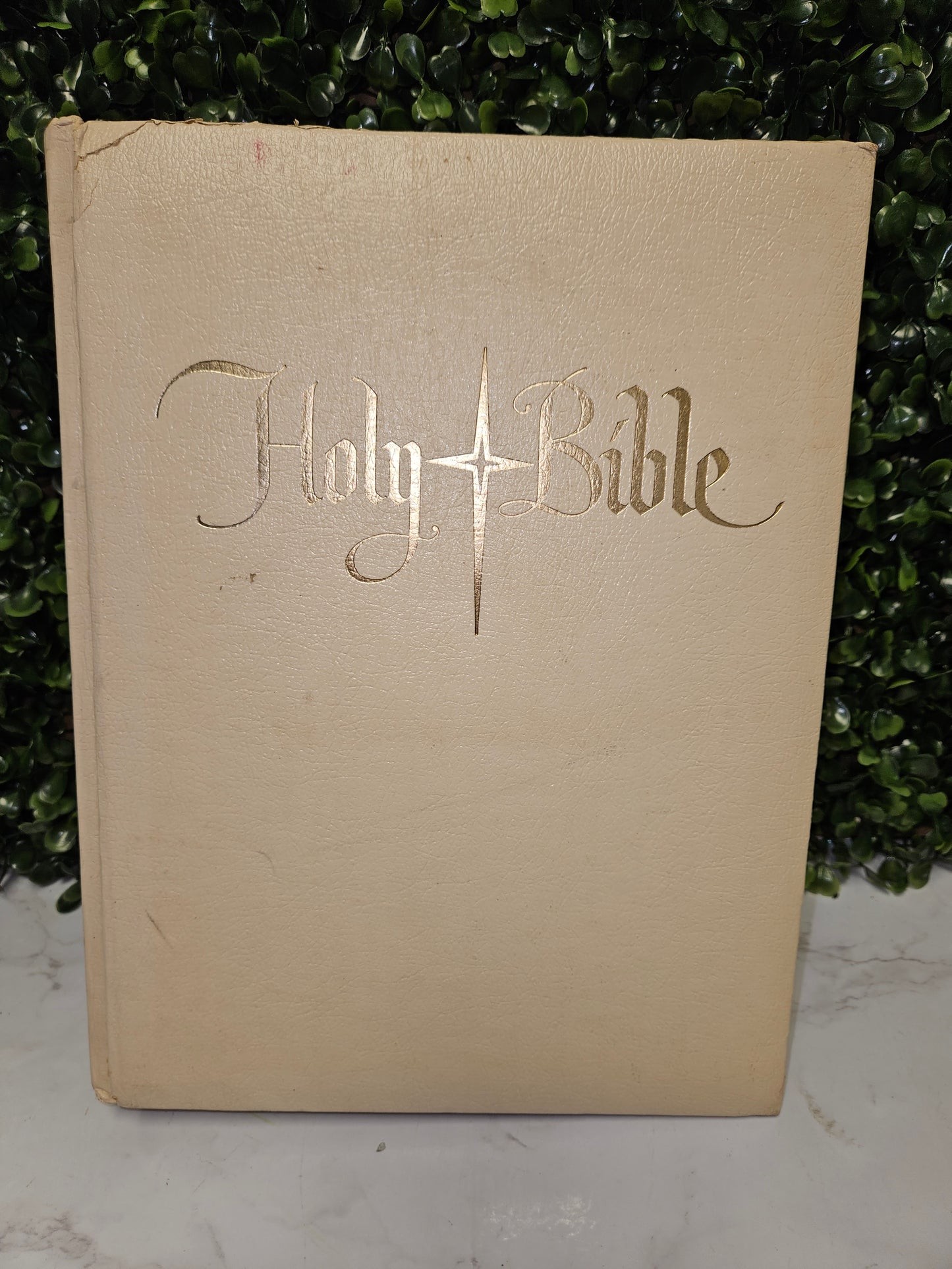 Holy Bible King James Version J.G. Ferguson Publishing, 1965, Color Illustration