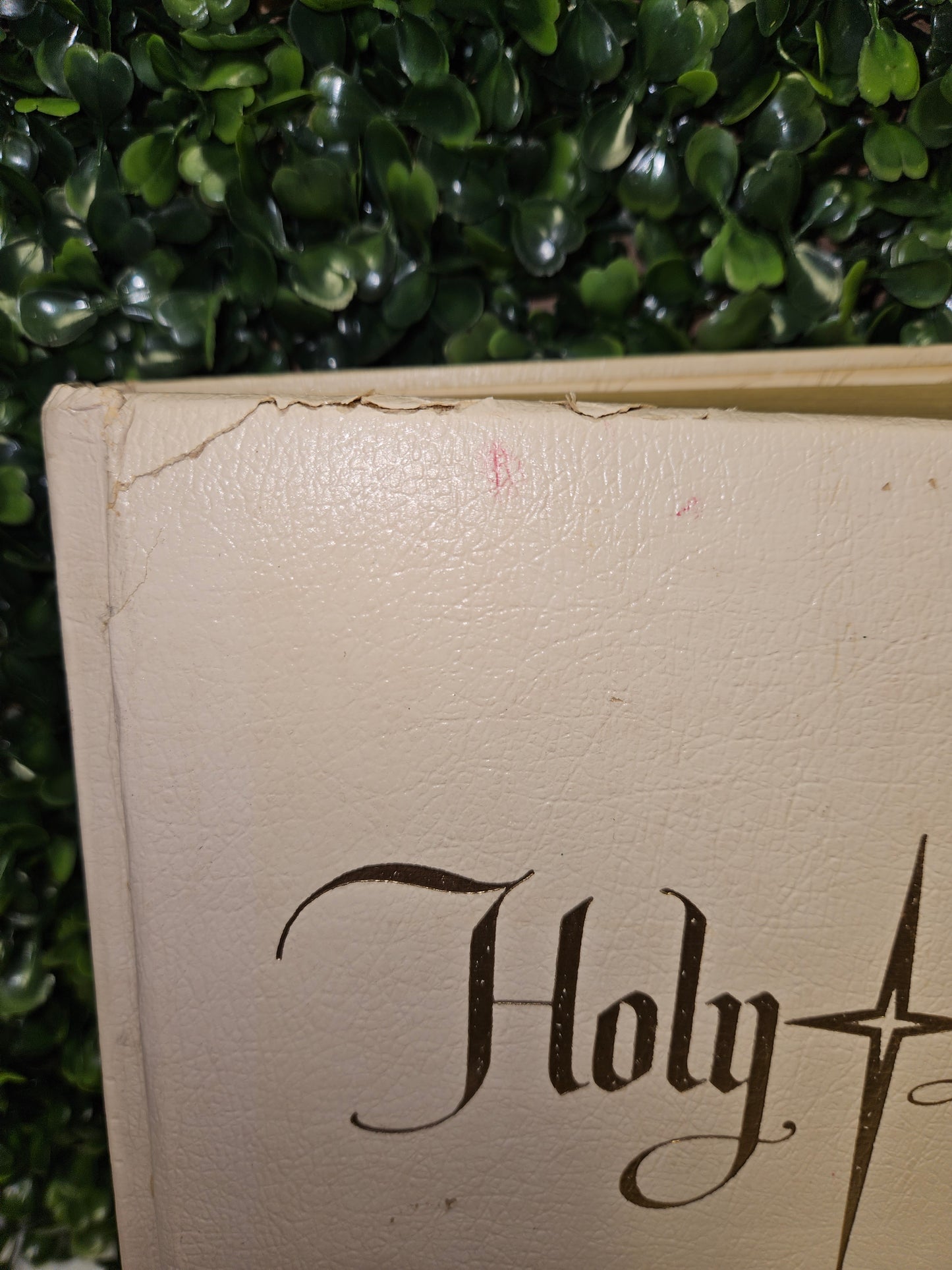 Holy Bible King James Version J.G. Ferguson Publishing, 1965, Color Illustration