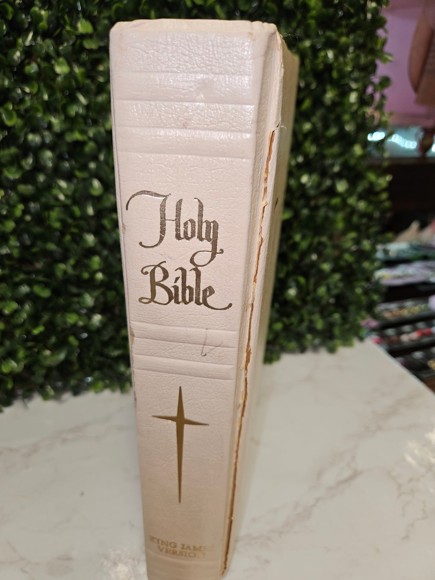 Holy Bible King James Version J.G. Ferguson Publishing, 1965, Color Illustration