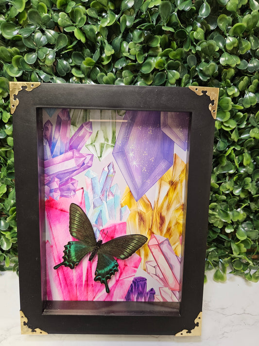 5X7 black framed crystals butterfly frame green butterfly