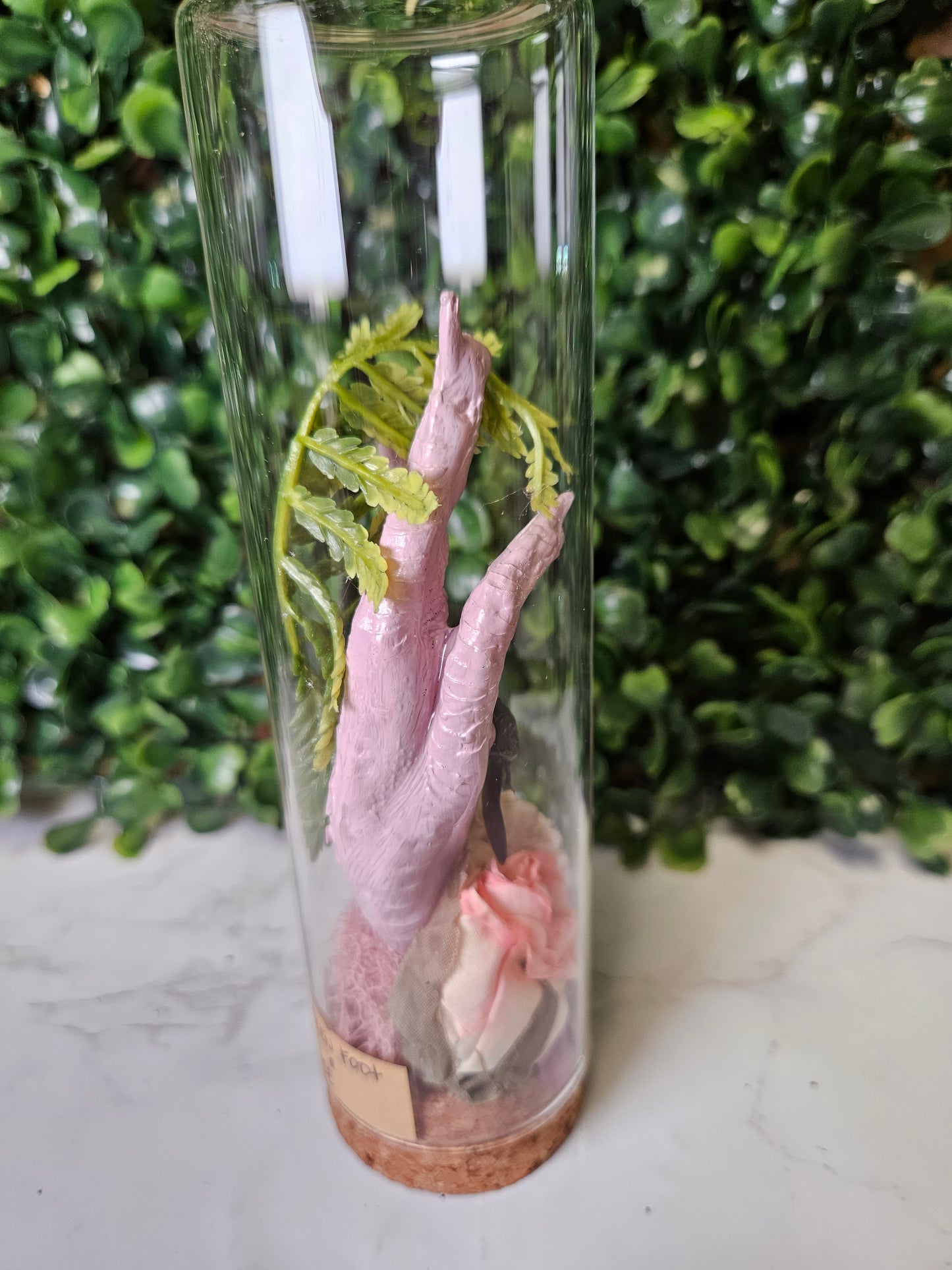 PINK chicken heart - carpenter bee jar