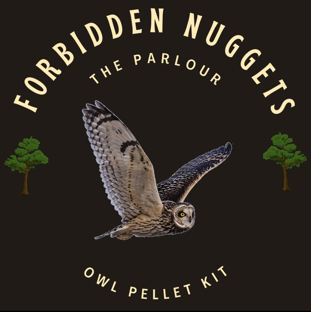 Forbidden nuggets Owl pellet kit