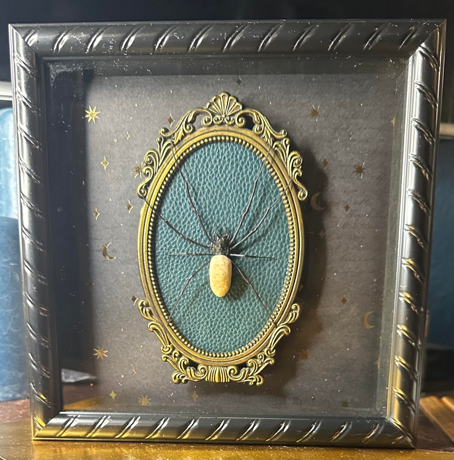 Ornate brass framed orb weaving spider frame