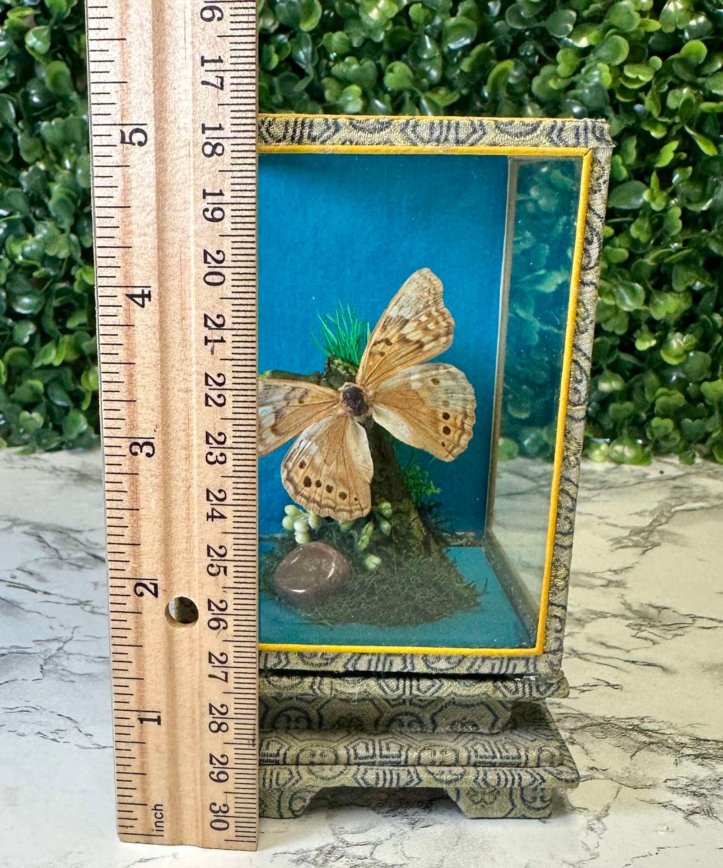 Vintage asian boxed frame Butterfly