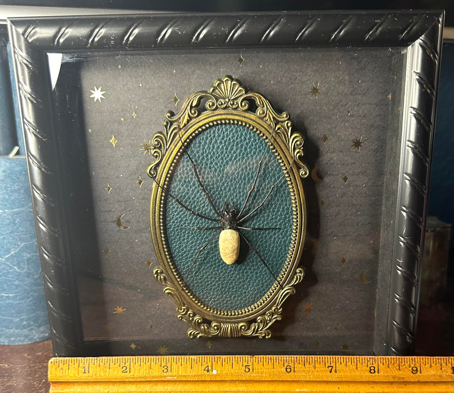 Ornate brass framed orb weaving spider frame