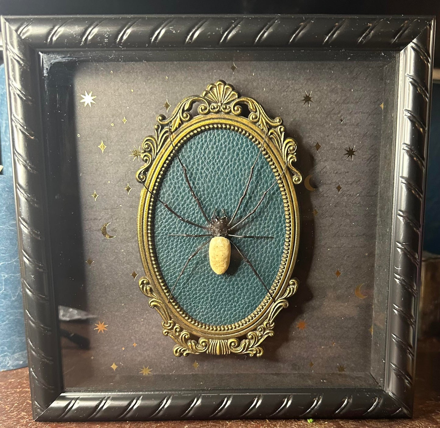 Ornate brass framed orb weaving spider frame