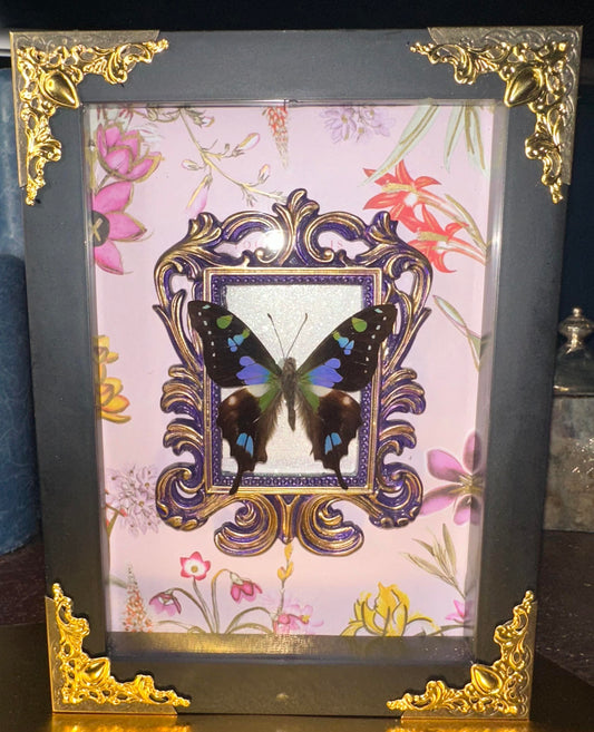 Purple floral framed butterfly -purple swallowtail