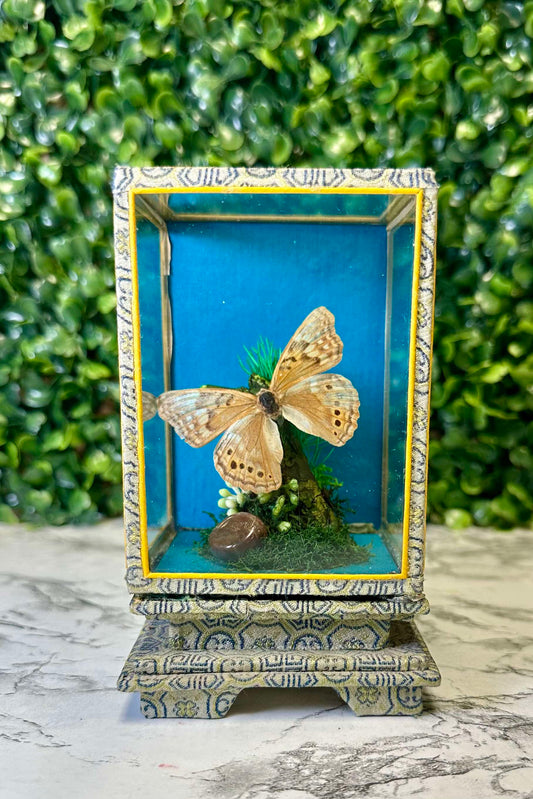 Vintage asian boxed frame Butterfly