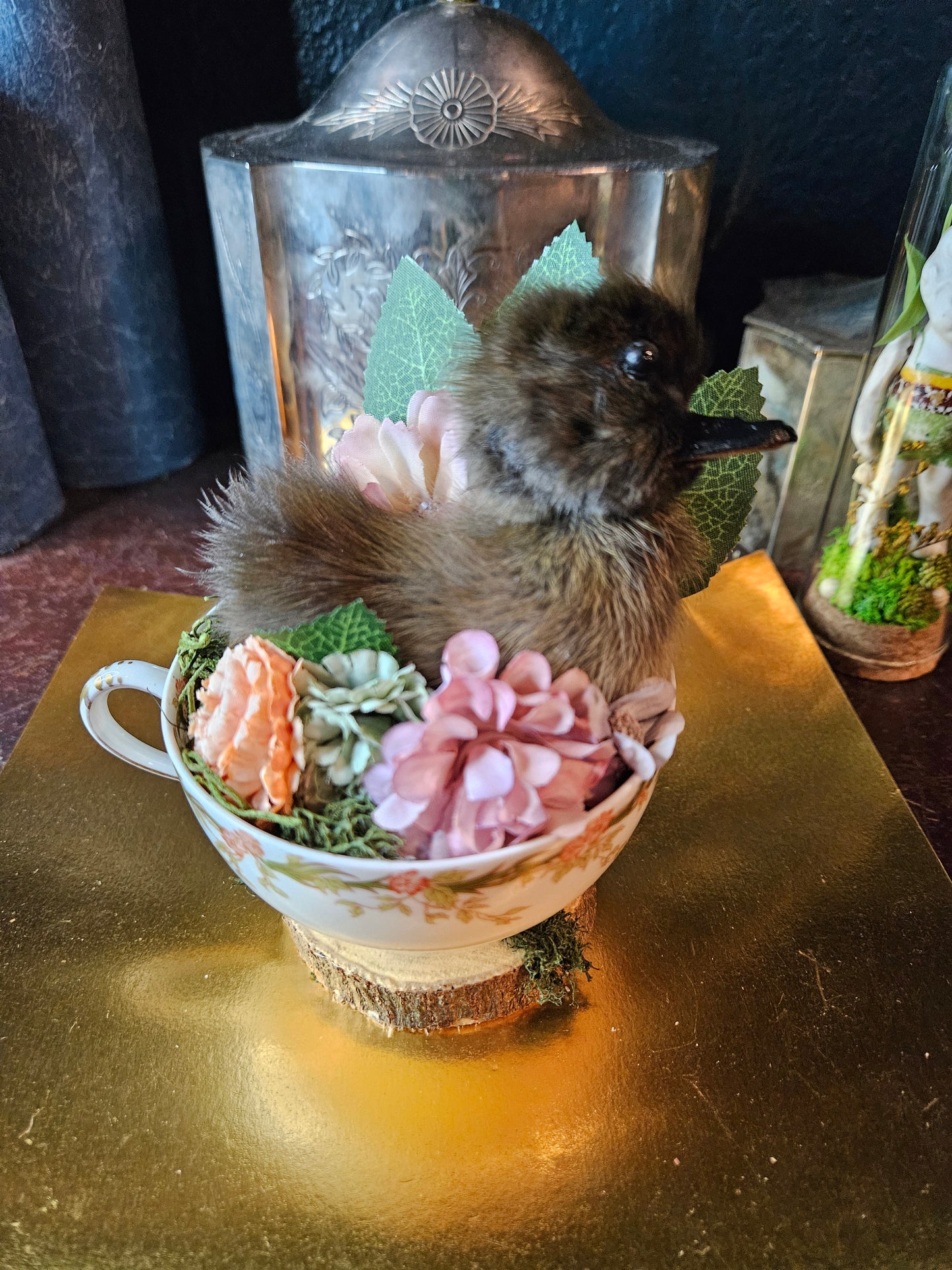 Tea cup taxidermy duckling