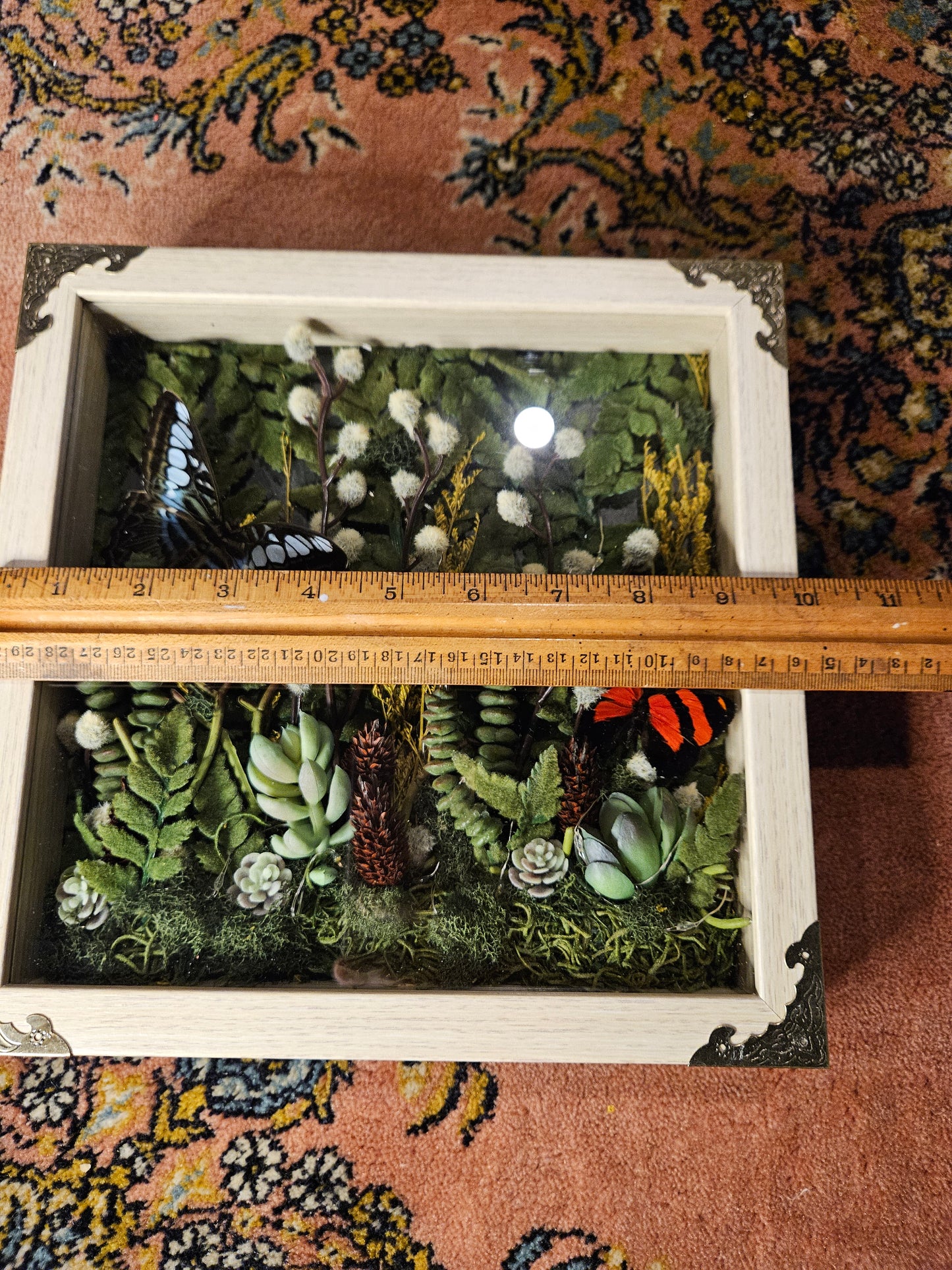 Light up butterfly forest frame