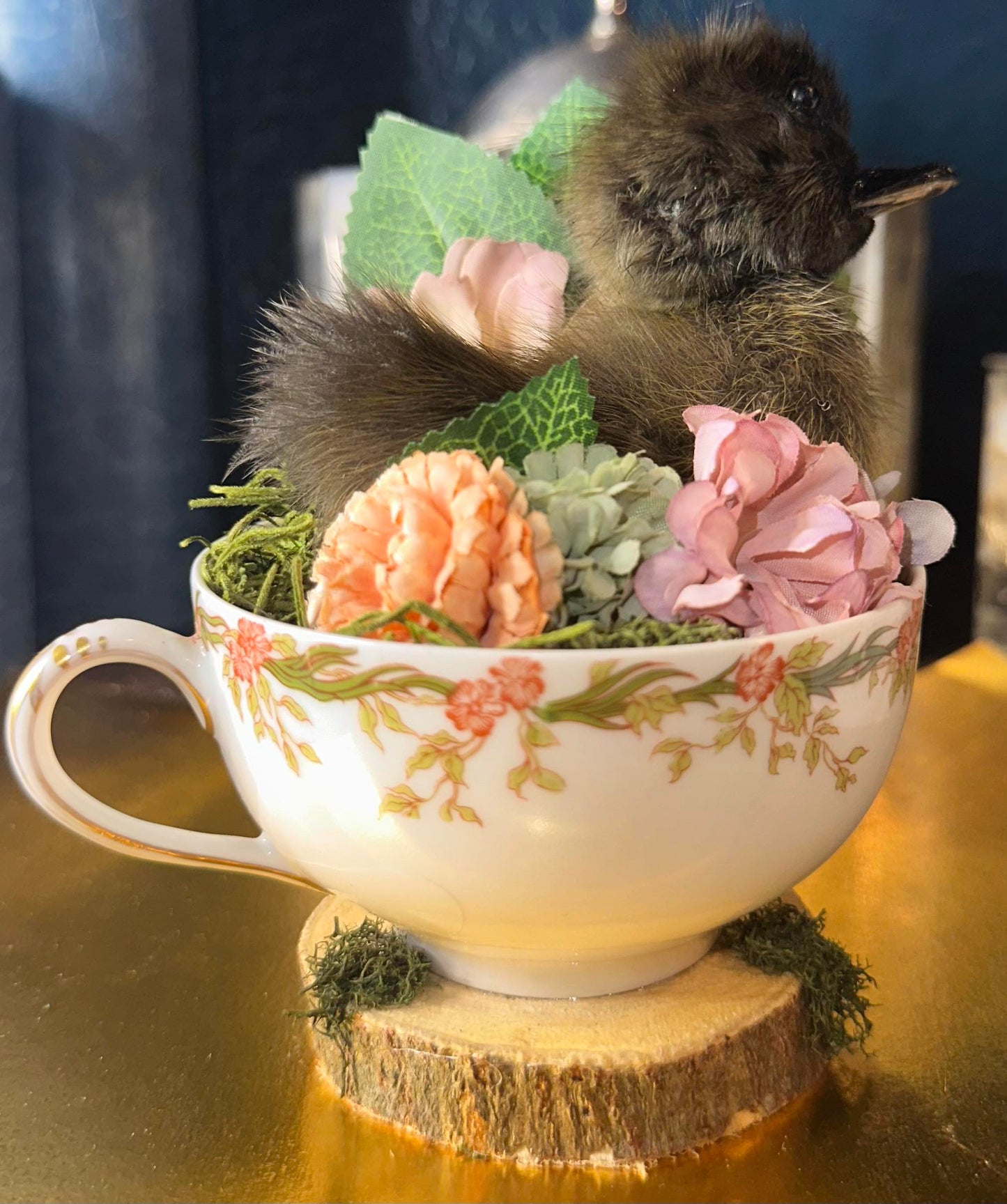 Tea cup taxidermy duckling