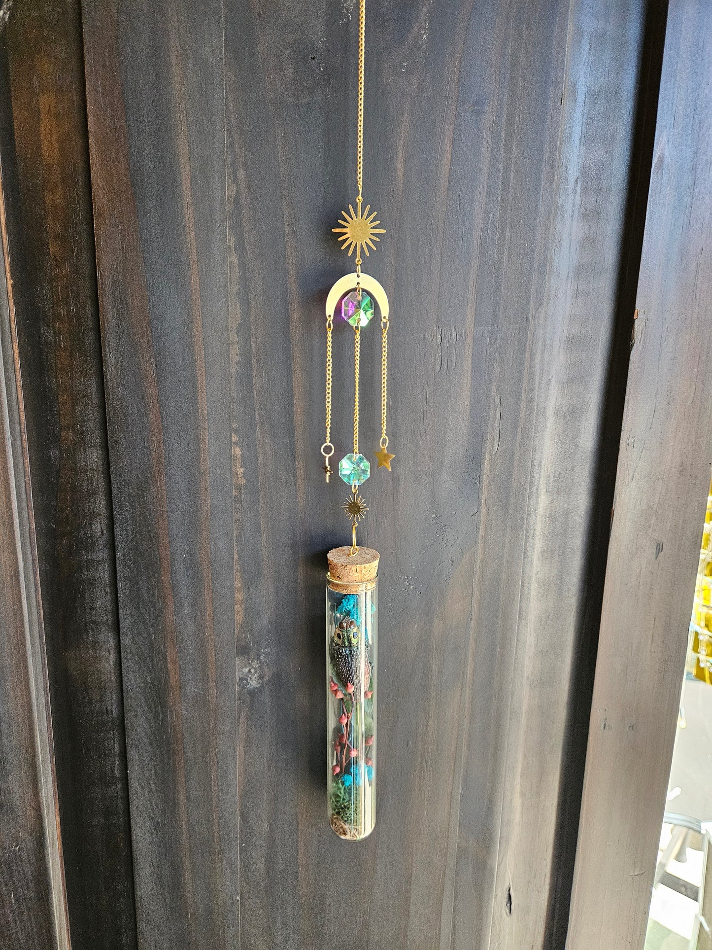 Madagascar Jewel Beetle moon sun catcher