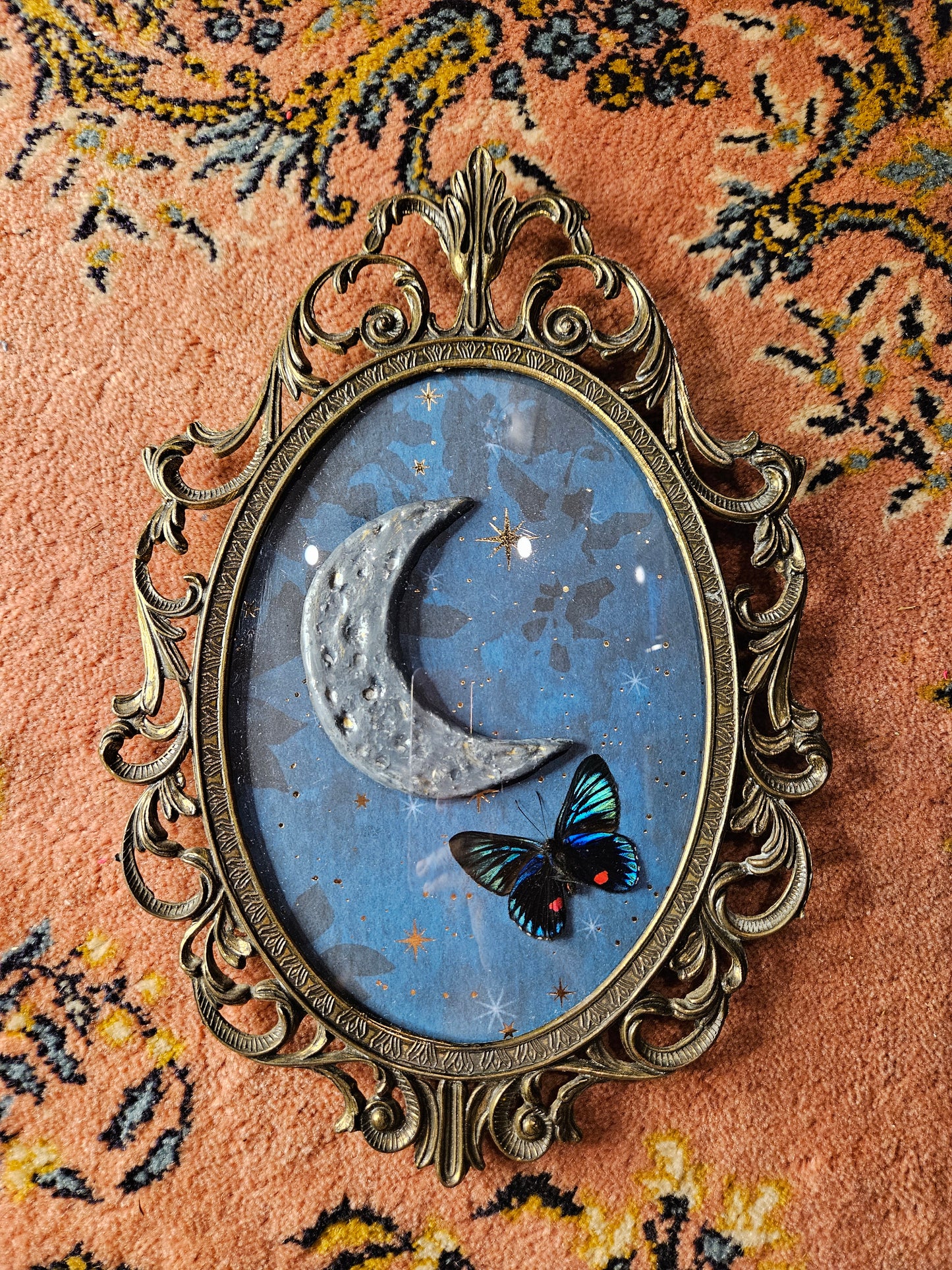 Night sky butterfly - vintage ornate frame