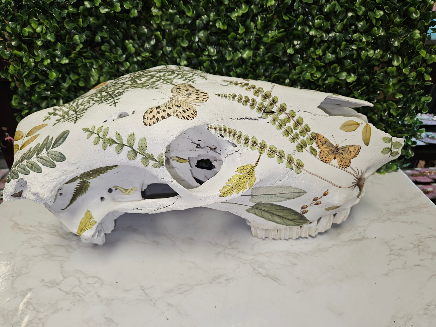 Cow skull -Greenery