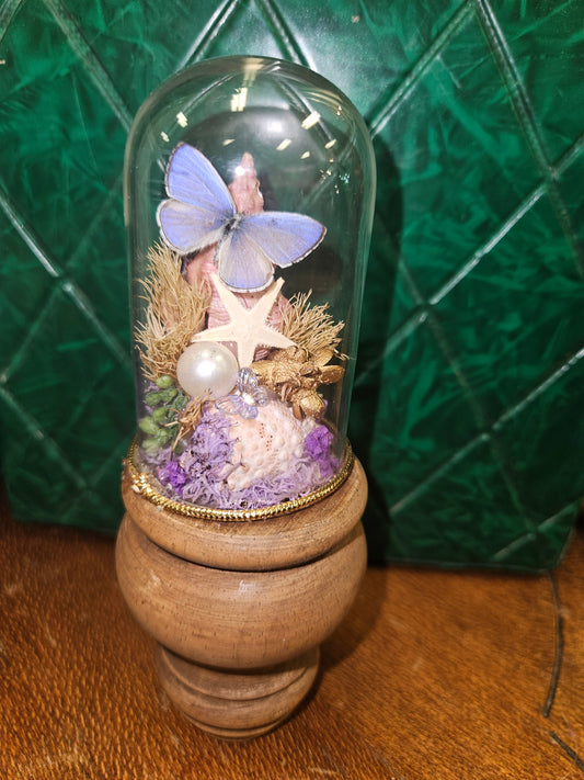 Lavender starfish shell mini world