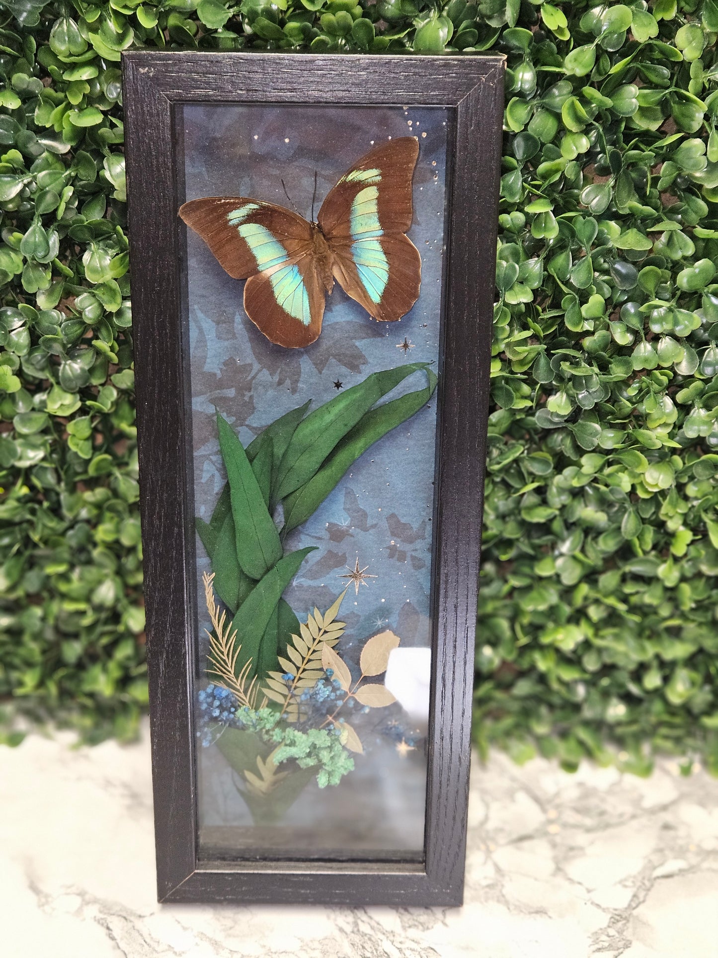 Midnight garden Sparkling cherub butterfly frame