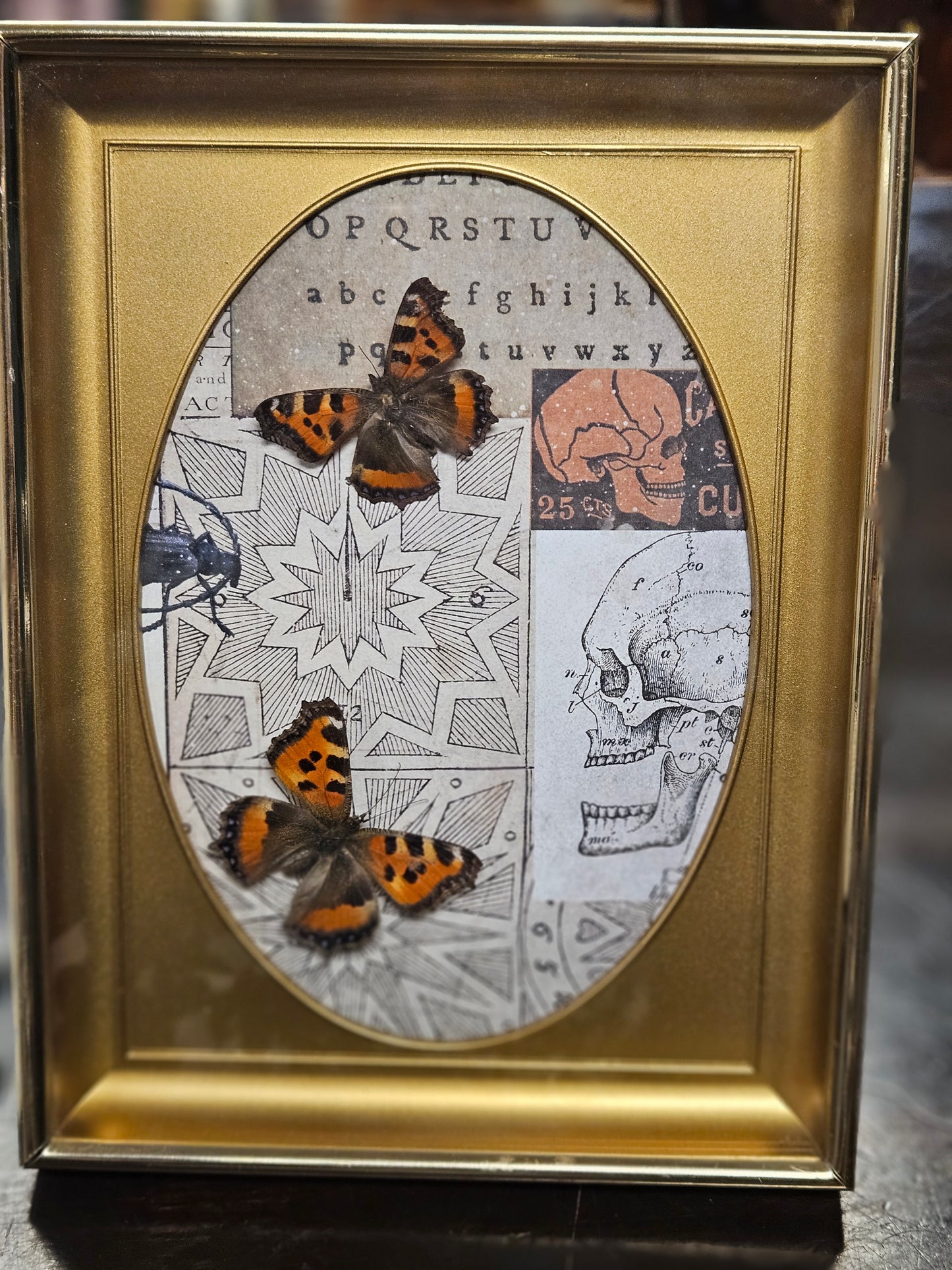 Vintage framed double butterfly - skull scrapbook