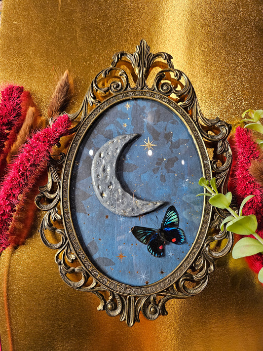 Night sky butterfly - vintage ornate frame