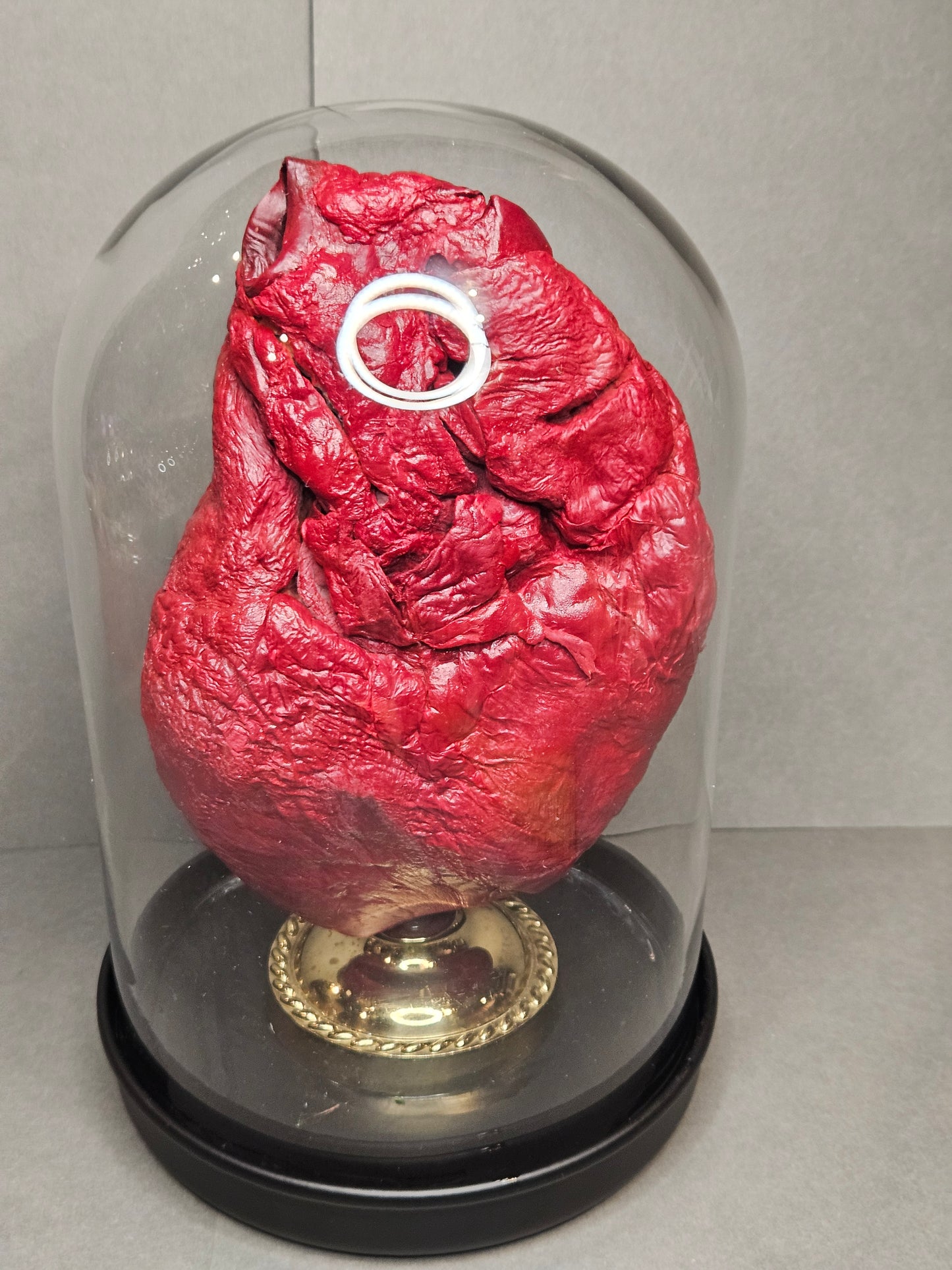 Red mummified cow heart cloche