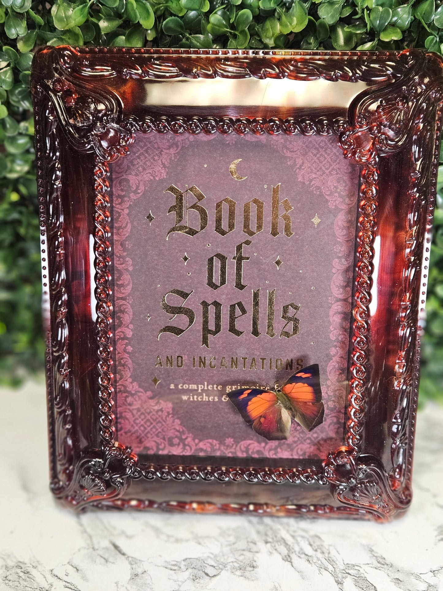 Book of Spells Anaea Butterfly ORNATE FRAME