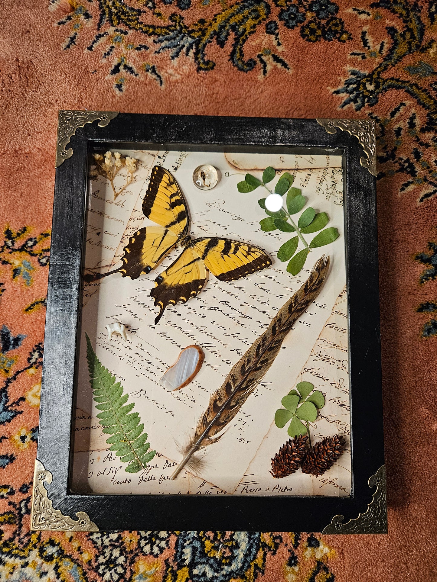 Collections butterfly frame display Yellow