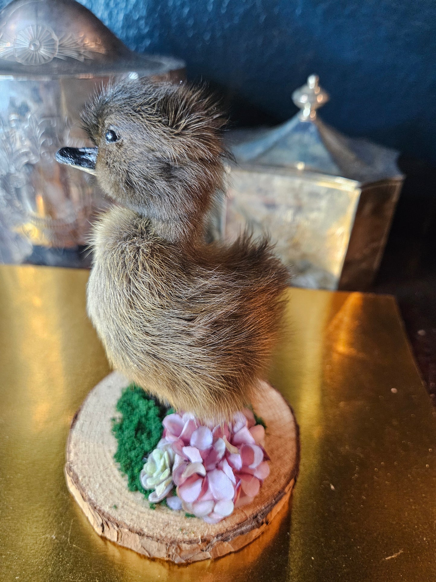 Purple flower taxidermy black duckling