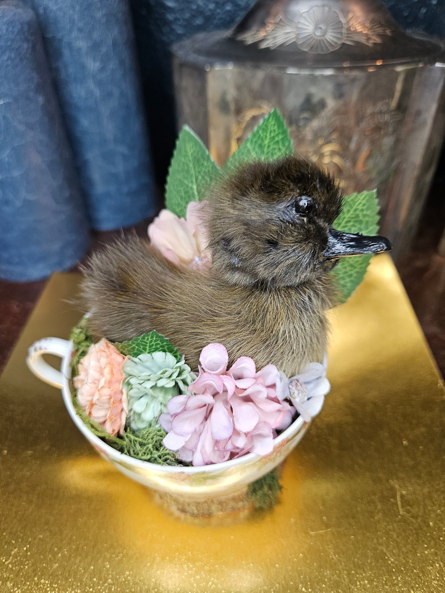 Tea cup taxidermy duckling