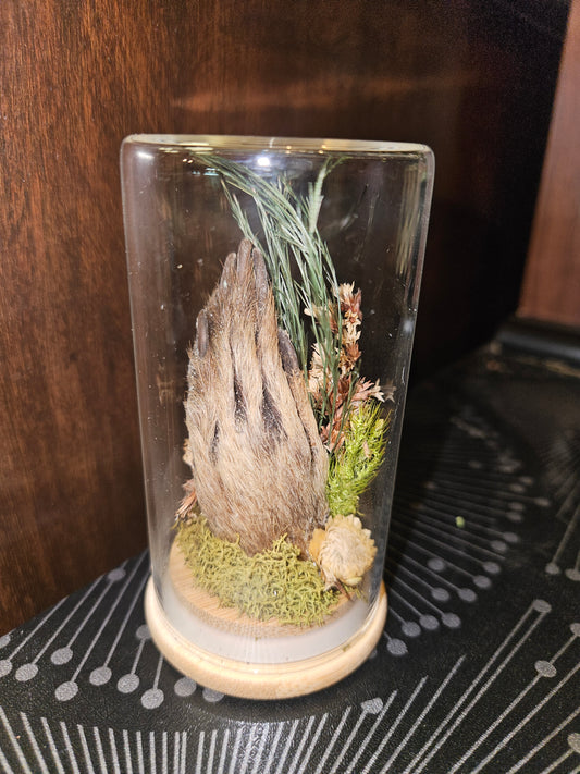 Raccoon paw jar - green