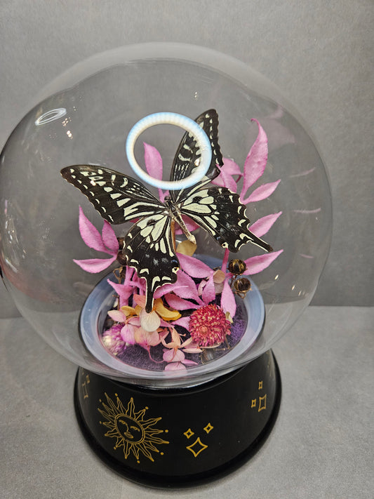 Crystal Ball pink & black & white butterfly mini world