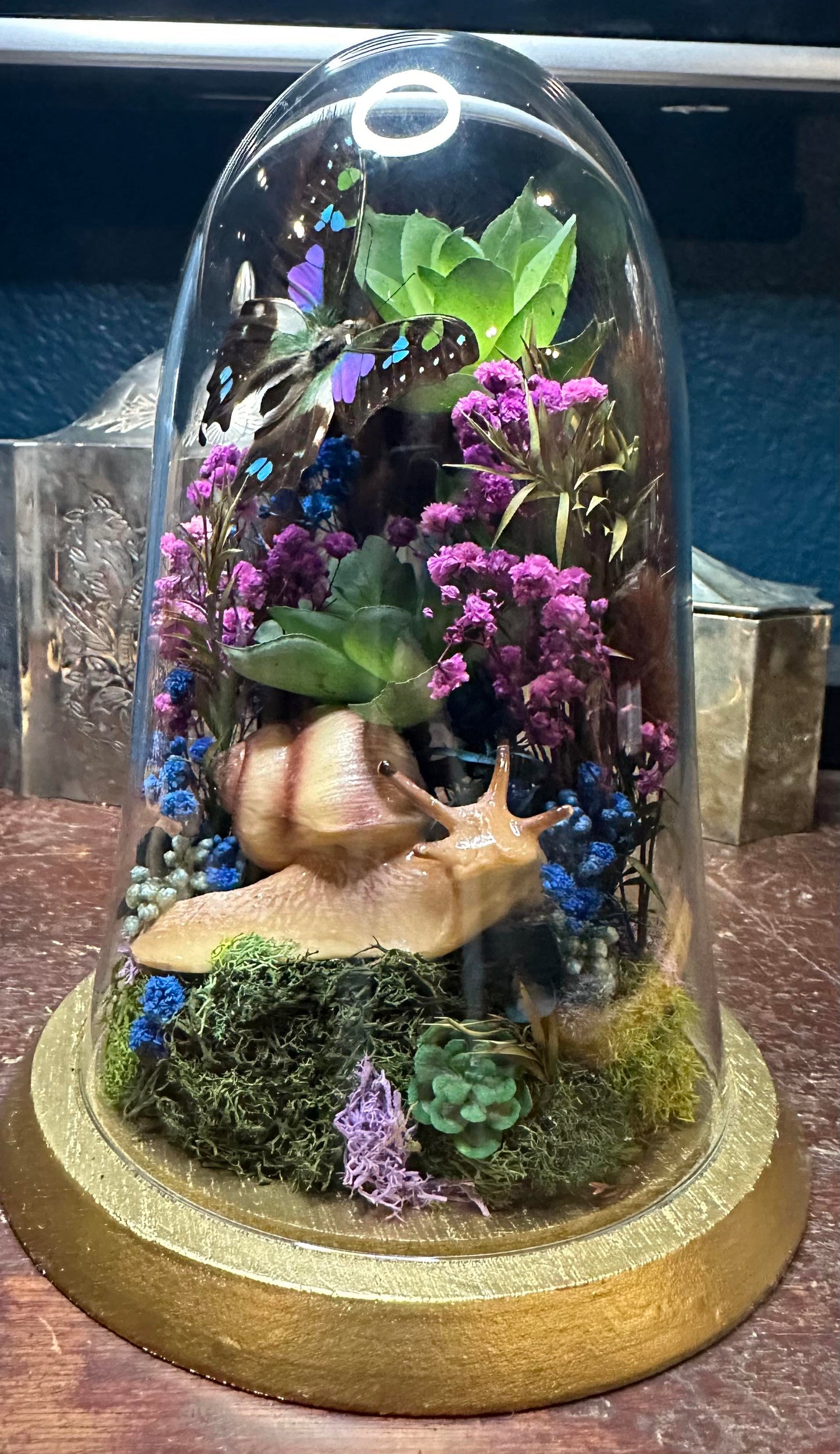 Purple swallowtail snail garden