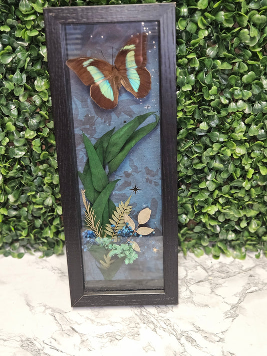 Midnight garden Sparkling cherub butterfly frame