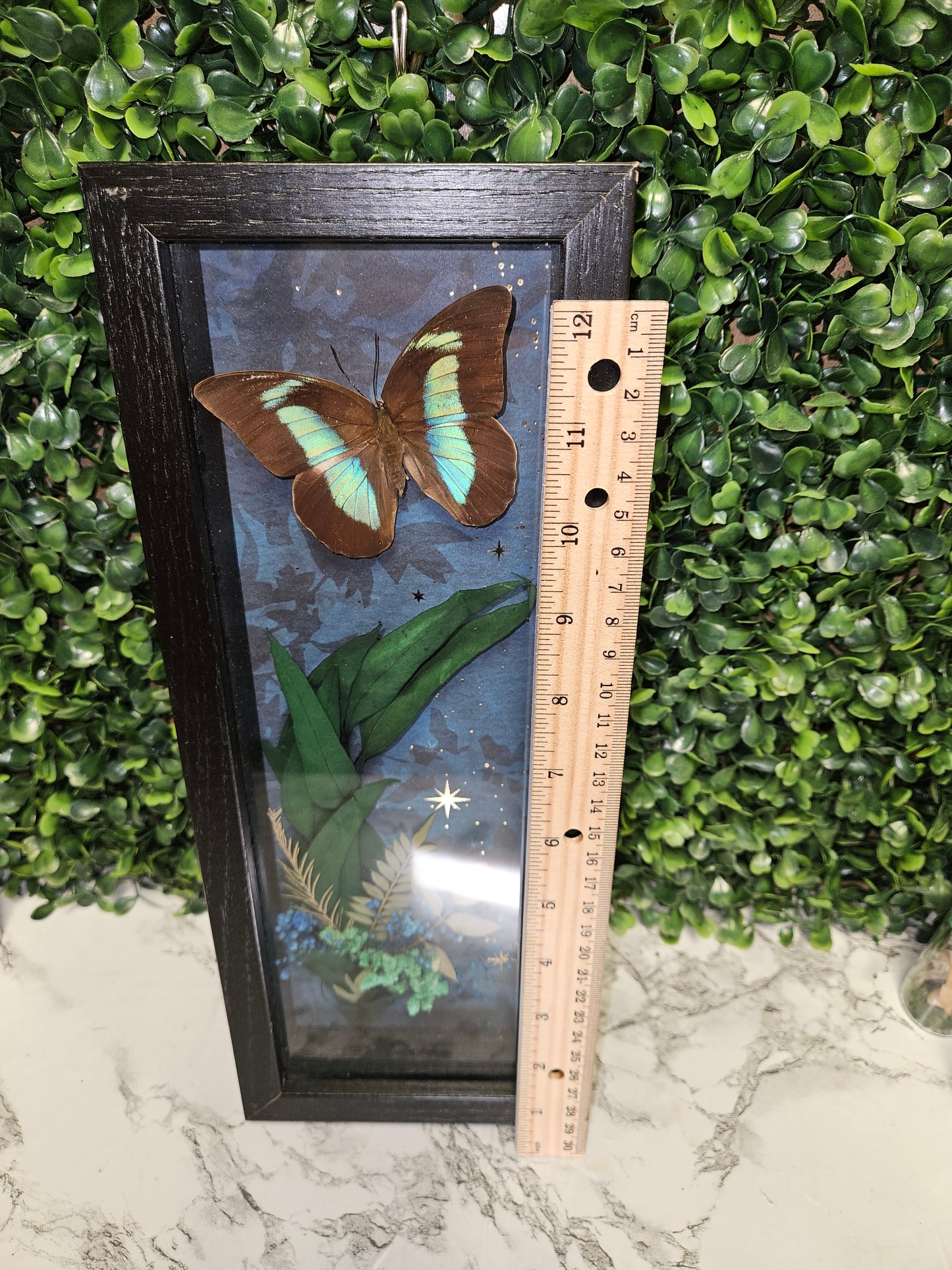 Midnight garden Sparkling cherub butterfly frame