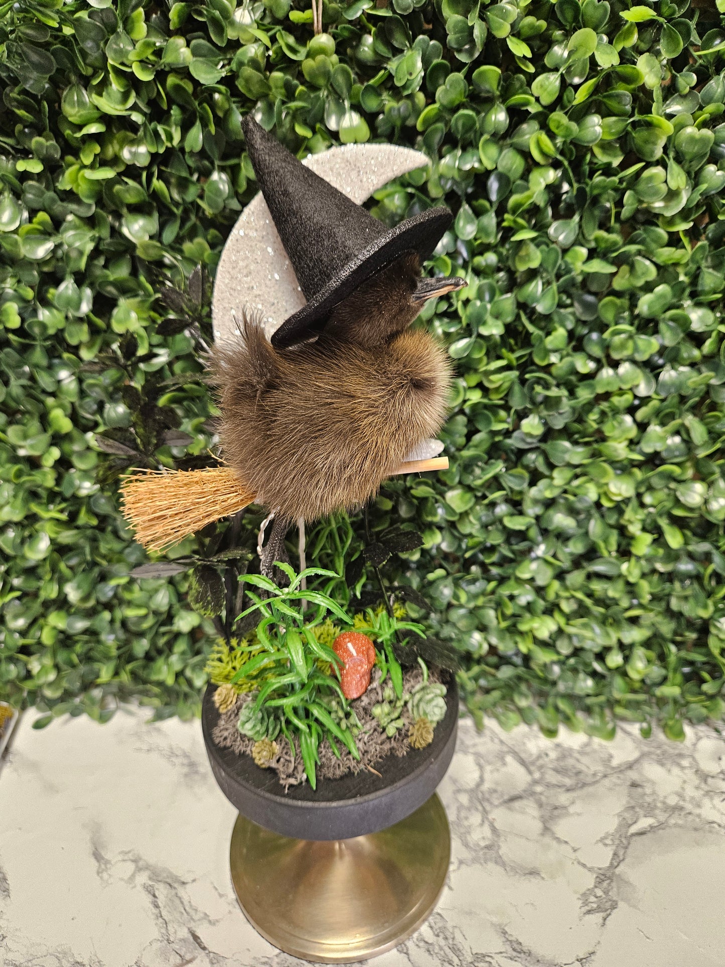 Black Taxidermy flying witch moon duck