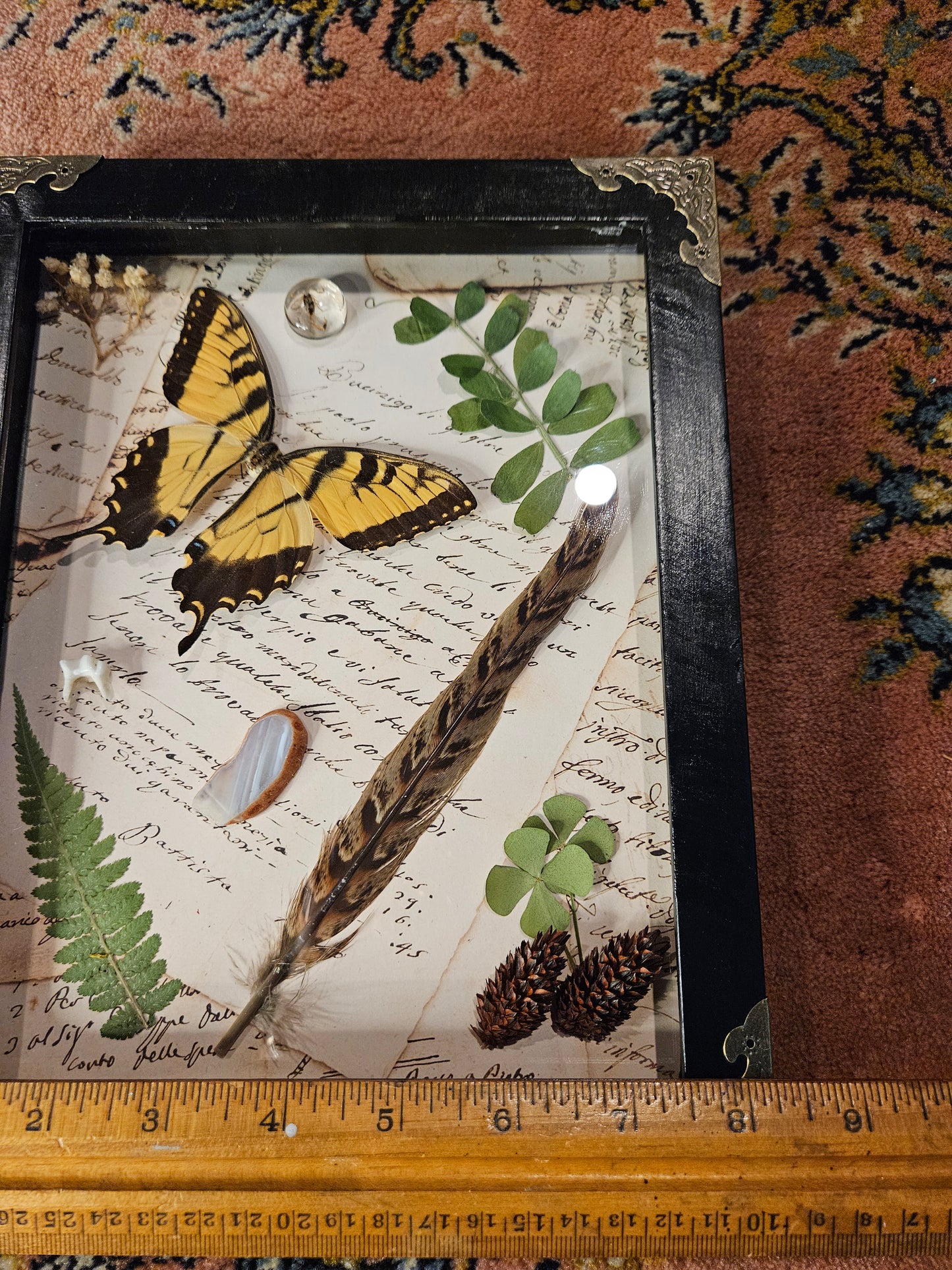 Collections butterfly frame display Yellow