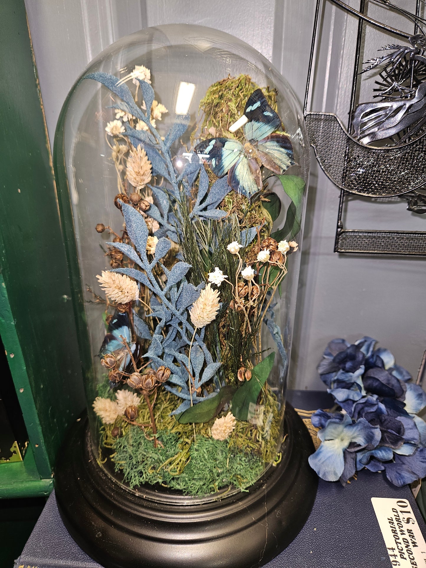 MIDNIGHT GARDEN BUTTERFLY glass cloche