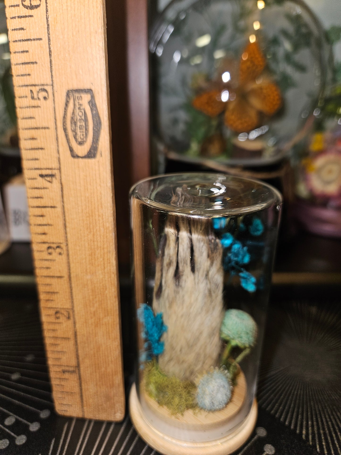 Raccoon paw jar - blue