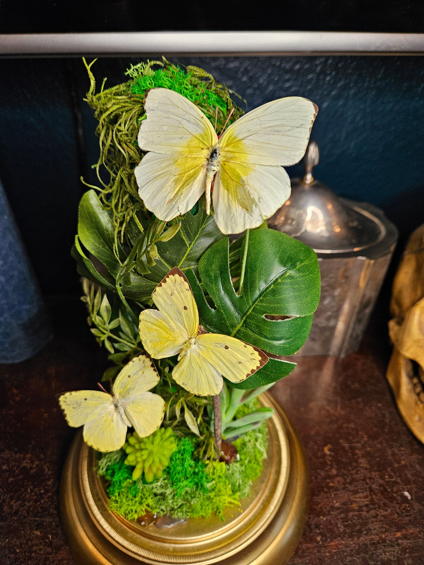 Triple yellow butterfly dome