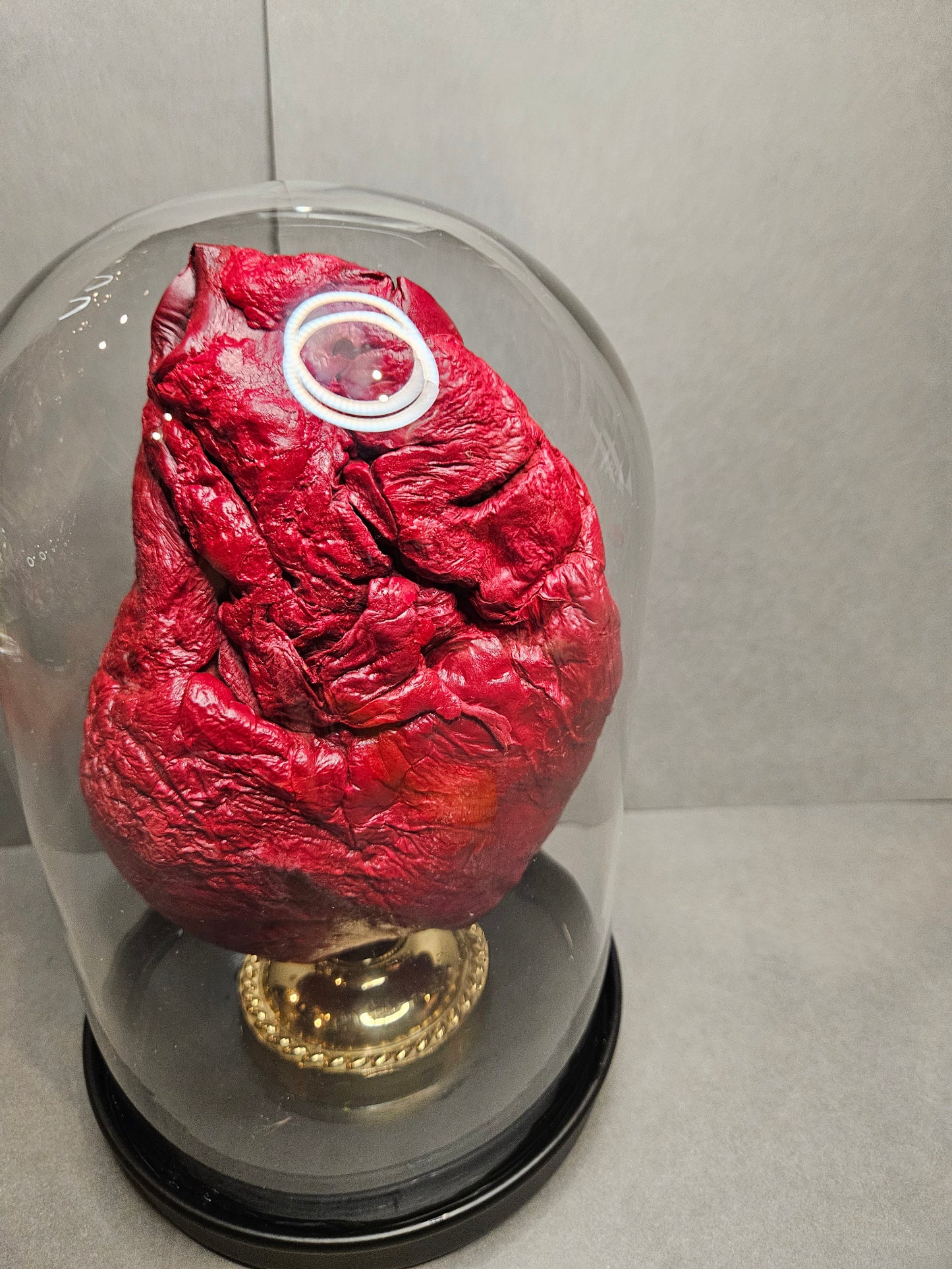 Red mummified cow heart cloche