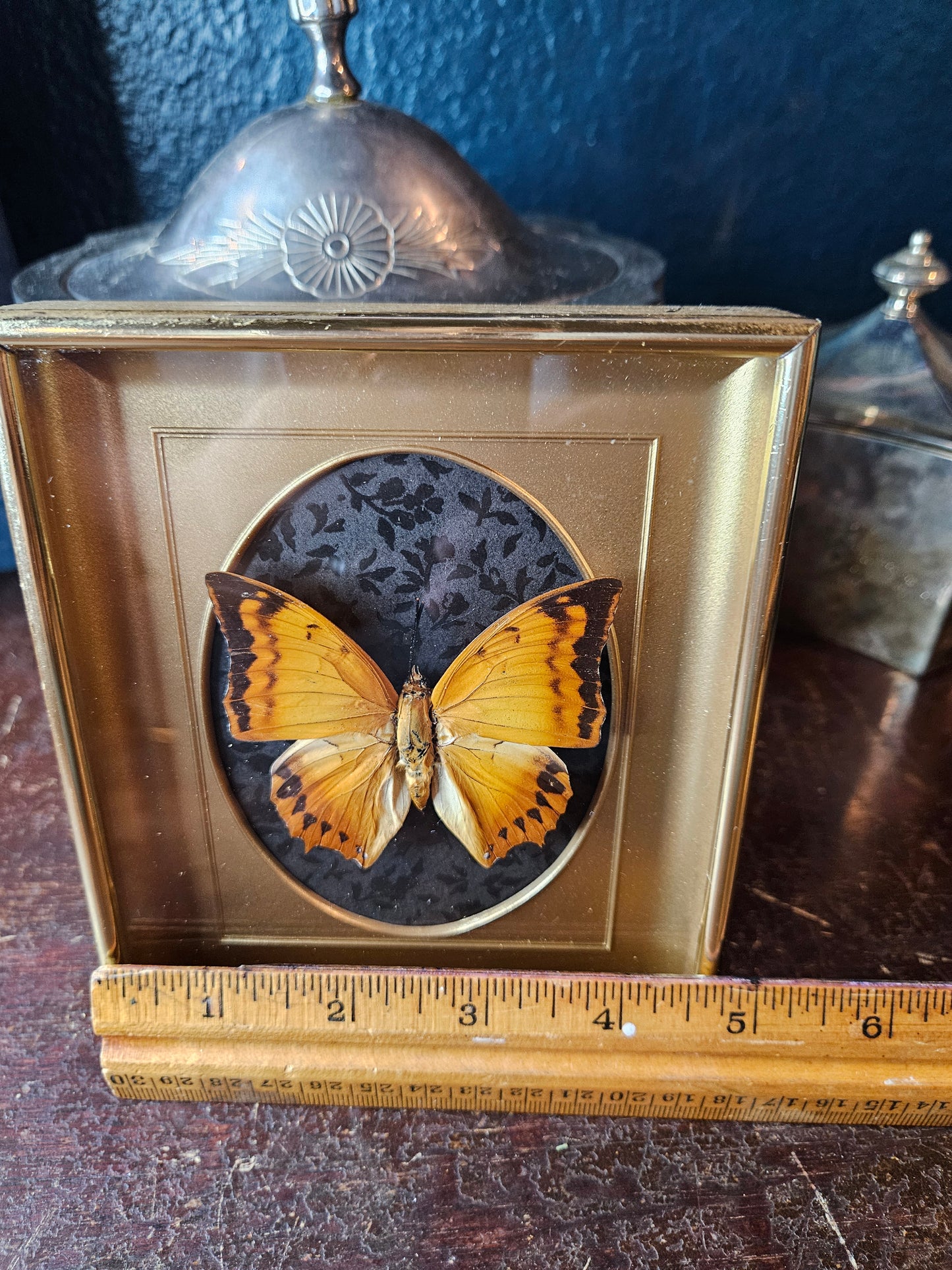 Vintage brass frame orange butterfly with black floral 5x6"